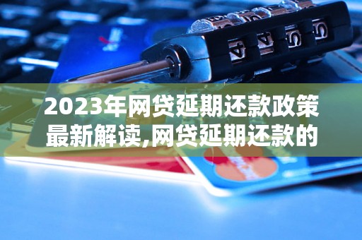 2023年网贷延期还款政策最新解读,网贷延期还款的具体操作步骤