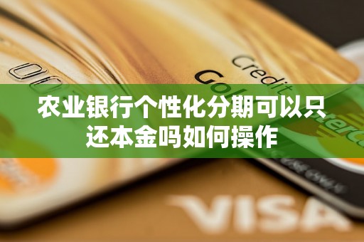 农业银行个性化分期可以只还本金吗如何操作