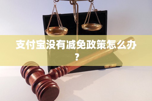 支付宝没有减免政策怎么办？