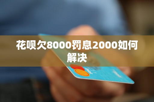 花呗欠8000罚息2000如何解决