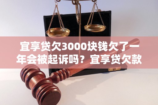 宜享贷欠3000块钱欠了一年会被起诉吗？宜享贷欠款一年后会有什么后果？