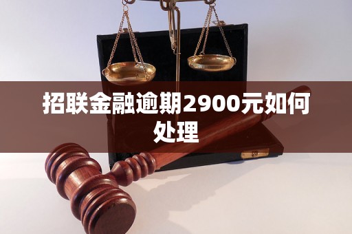 招联金融逾期2900元如何处理