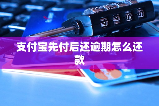 支付宝先付后还逾期怎么还款