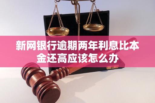 新网银行逾期两年利息比本金还高应该怎么办