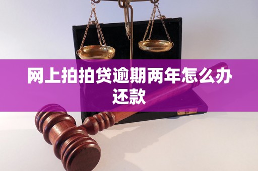 网上拍拍贷逾期两年怎么办还款