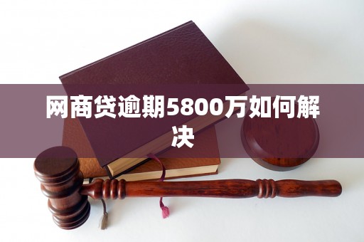 网商贷逾期5800万如何解决