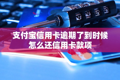 支付宝信用卡逾期了到时候怎么还信用卡款项