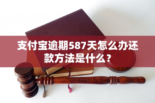 支付宝逾期587天怎么办还款方法是什么？