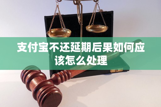 支付宝不还延期后果如何应该怎么处理