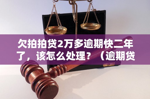 欠拍拍贷2万多逾期快二年了，该怎么处理？（逾期贷款处理方法与注意事项）