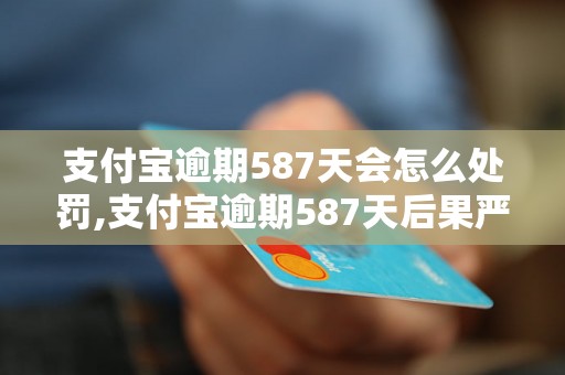 支付宝逾期587天会怎么处罚,支付宝逾期587天后果严重吗