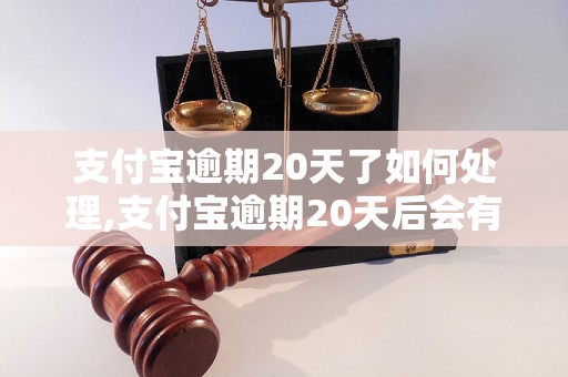 支付宝逾期20天了如何处理,支付宝逾期20天后会有什么后果