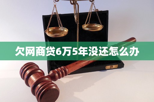 欠网商贷6万5年没还怎么办