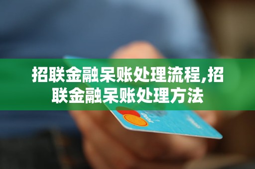 招联金融呆账处理流程,招联金融呆账处理方法