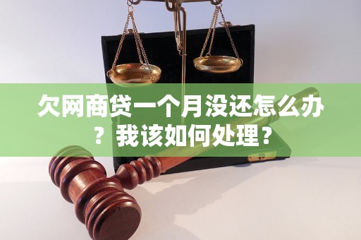 欠网商贷一个月没还怎么办？我该如何处理？