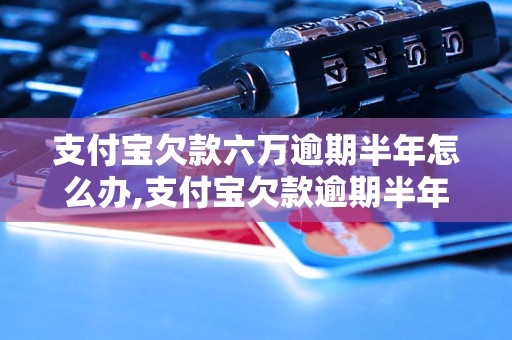 支付宝欠款六万逾期半年怎么办,支付宝欠款逾期半年的后果及解决方法