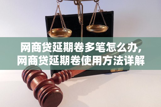 网商贷延期卷多笔怎么办,网商贷延期卷使用方法详解