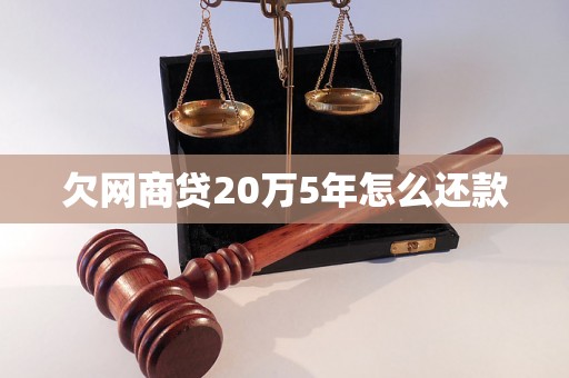 欠网商贷20万5年怎么还款