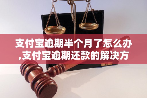 支付宝逾期半个月了怎么办,支付宝逾期还款的解决方法