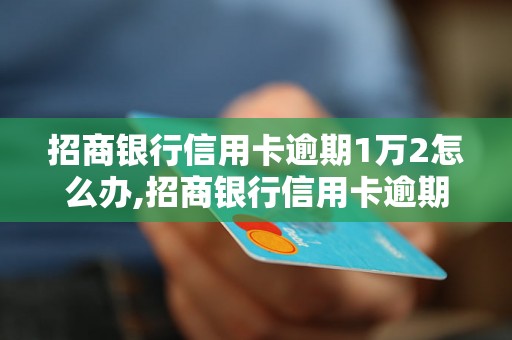 招商银行信用卡逾期1万2怎么办,招商银行信用卡逾期罚款标准