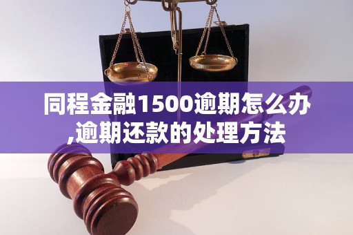 同程金融1500逾期怎么办,逾期还款的处理方法