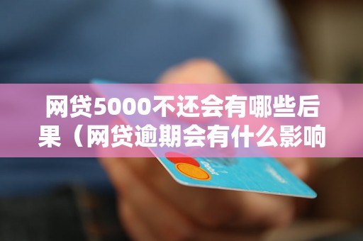 网贷5000不还会有哪些后果（网贷逾期会有什么影响）