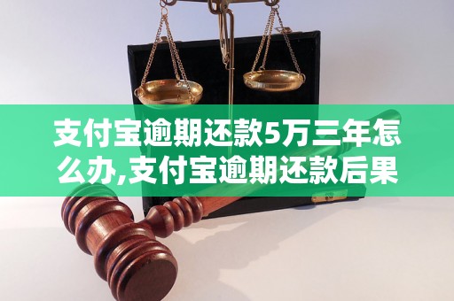 支付宝逾期还款5万三年怎么办,支付宝逾期还款后果严重吗