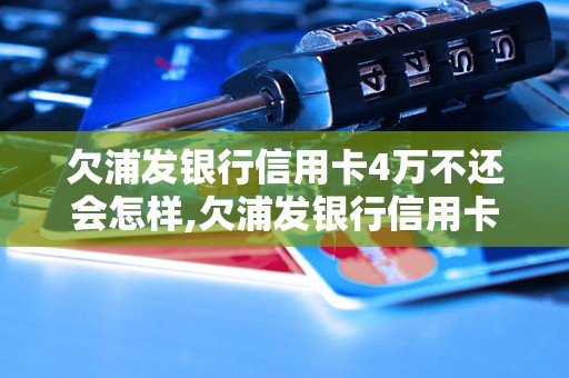 欠浦发银行信用卡4万不还会怎样,欠浦发银行信用卡4万如何解决