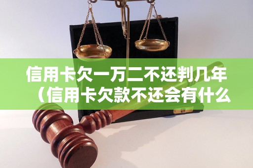 信用卡欠一万二不还判几年（信用卡欠款不还会有什么后果）