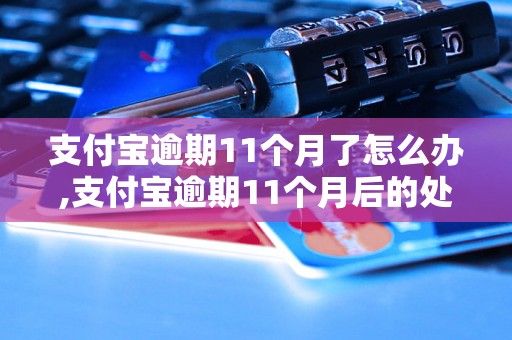 支付宝逾期11个月了怎么办,支付宝逾期11个月后的处理方法