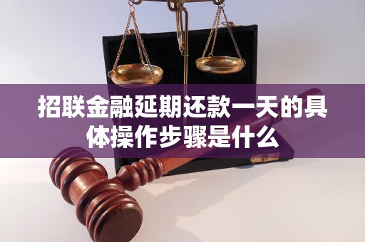 招联金融延期还款一天的具体操作步骤是什么