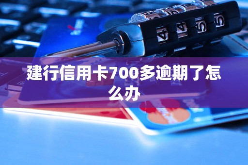 建行信用卡700多逾期了怎么办