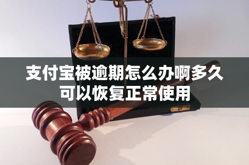 支付宝被逾期怎么办啊多久可以恢复正常使用