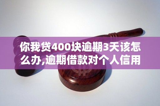 你我贷400块逾期3天该怎么办,逾期借款对个人信用评估的影响