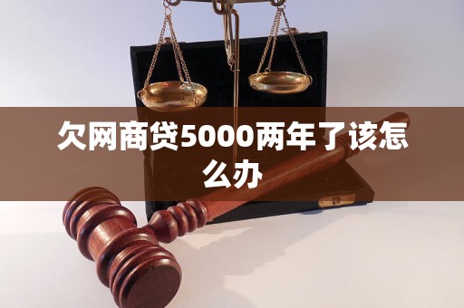 欠网商贷5000两年了该怎么办