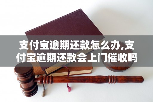 支付宝逾期还款怎么办,支付宝逾期还款会上门催收吗