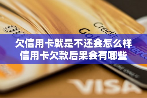 欠信用卡就是不还会怎么样信用卡欠款后果会有哪些