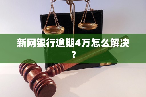 新网银行逾期4万怎么解决？