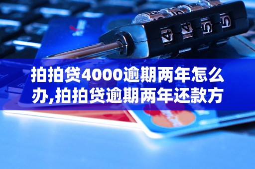 拍拍贷4000逾期两年怎么办,拍拍贷逾期两年还款方式