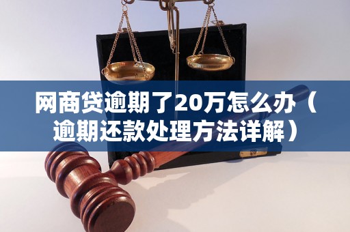 网商贷逾期了20万怎么办（逾期还款处理方法详解）