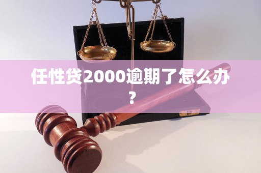 任性贷2000逾期了怎么办？