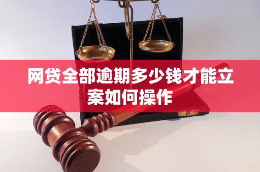 网贷全部逾期多少钱才能立案如何操作