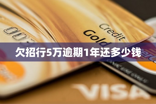 欠招行5万逾期1年还多少钱