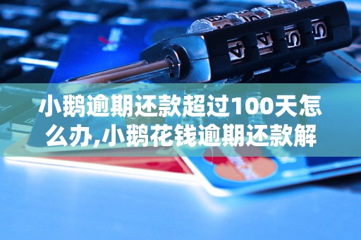 小鹅逾期还款超过100天怎么办,小鹅花钱逾期还款解决方案