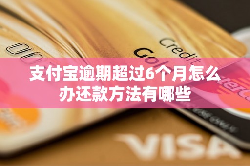 支付宝逾期超过6个月怎么办还款方法有哪些