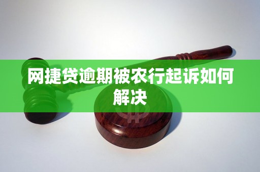 网捷贷逾期被农行起诉如何解决