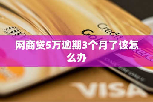 网商贷5万逾期3个月了该怎么办