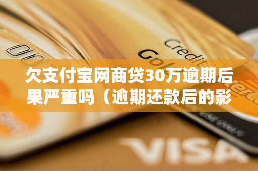 欠支付宝网商贷30万逾期后果严重吗（逾期还款后的影响及解决办法）