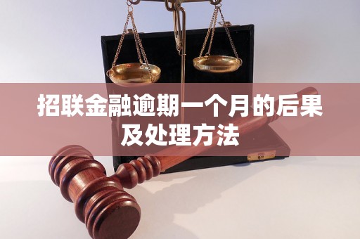 招联金融逾期一个月的后果及处理方法