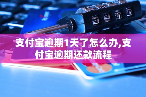 支付宝逾期1天了怎么办,支付宝逾期还款流程